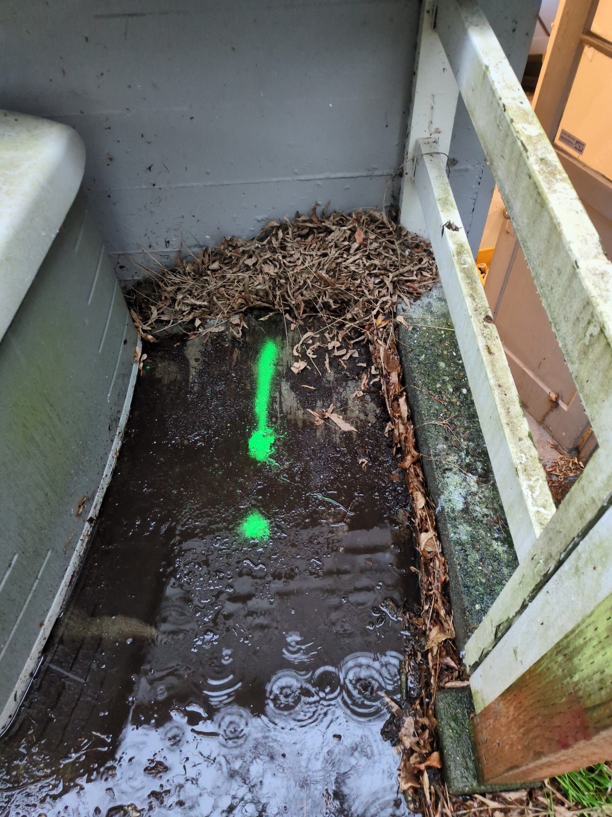 Rainwater standing at the base of exterior stairs with green utility locate paint marking the sewer run