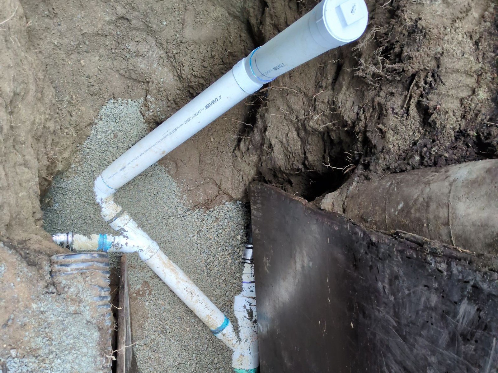 Braced trench holding new white PVC sewer pipe, a wye and an angled capped cleanout on pea gravel
