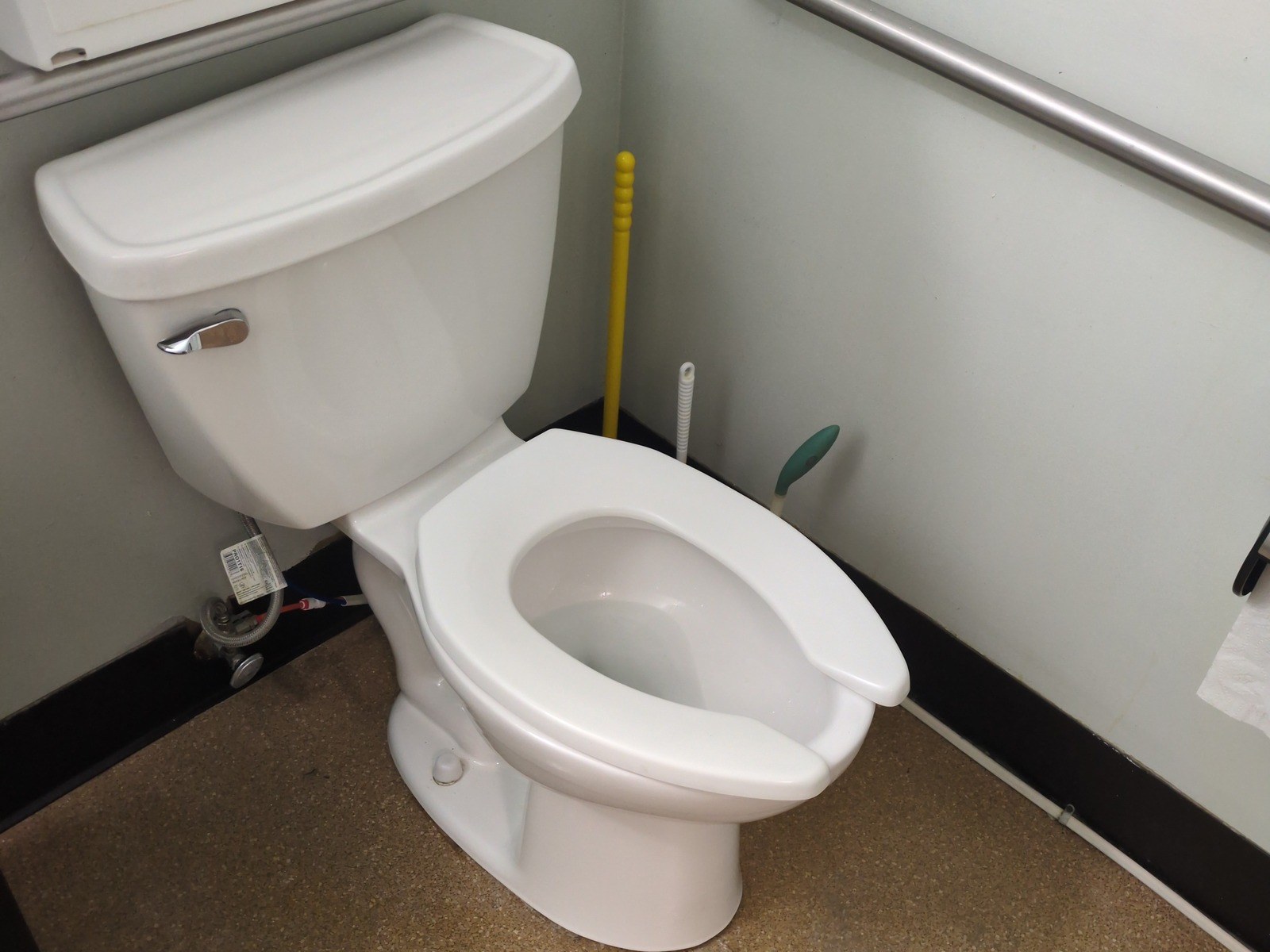 White two-piece toilet against a pale green wall below a stainless grab bar, a braided supply line connected at the left
