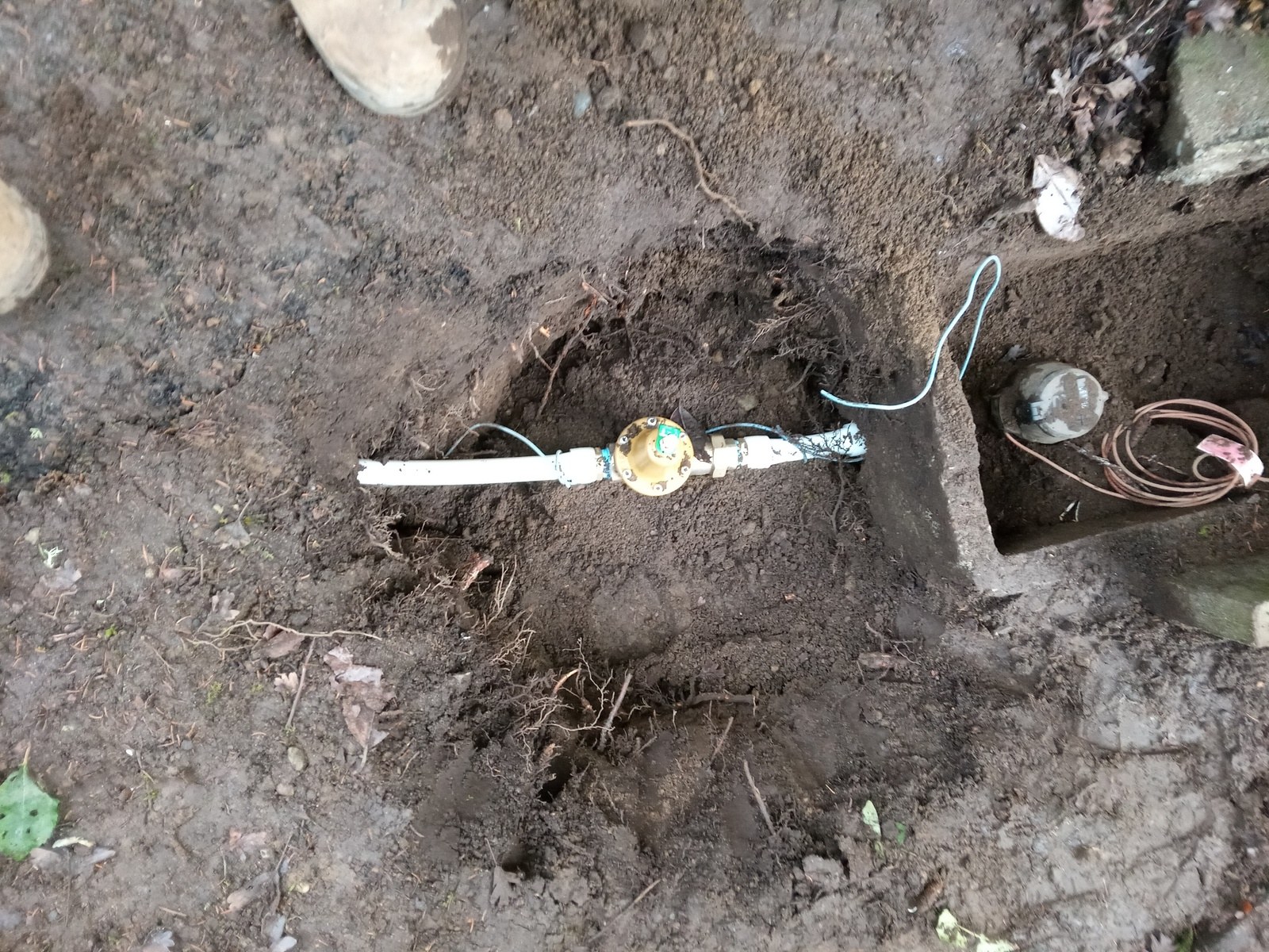 New white water service line with a brass fitting and blue tracer wire beside an open meter pit in bare soil